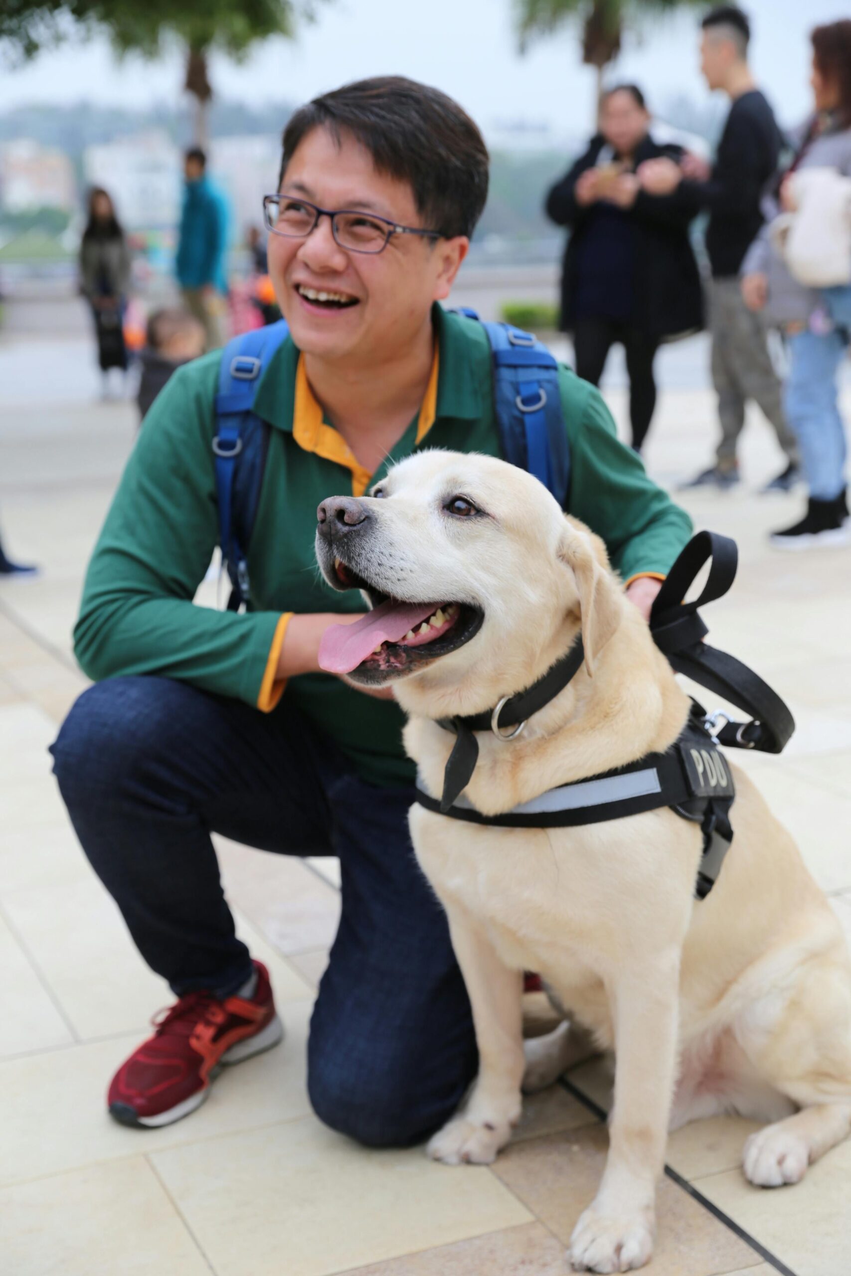 Smiling man crouching on a city plaza beside a yellow Labrador wearing a harness