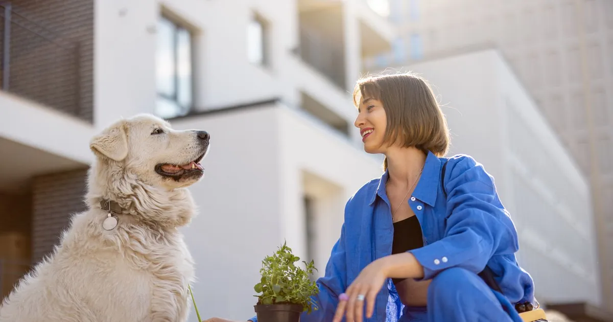 Tenant sitting outside an apartment building with a large white dog beside her