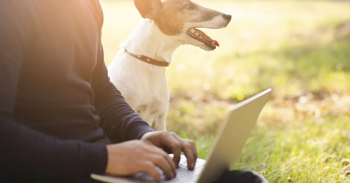 Person reviewing housing paperwork on a laptop outdoors with a small terrier sitting beside them