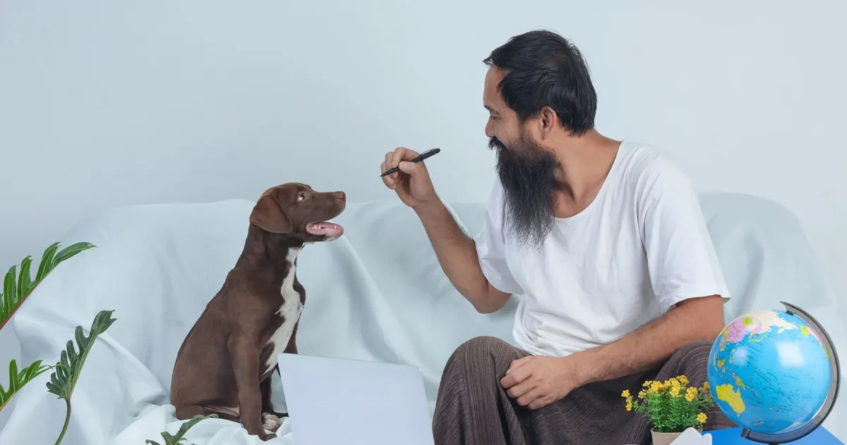 Tenant at home on a sofa with a laptop and a brown dog, reviewing housing documents