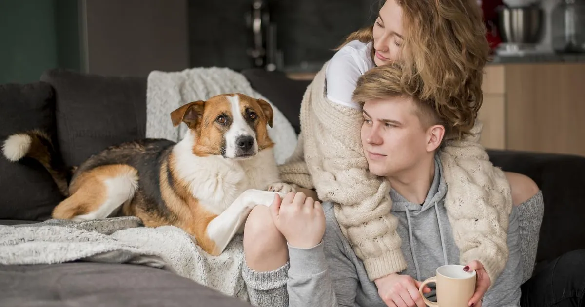 Couple relaxing on a sofa at home with their tricolour dog beside them