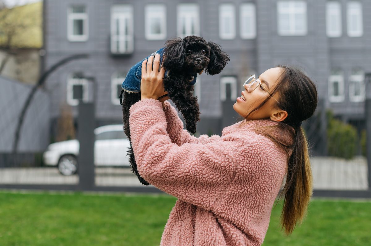 Psychiatric service dog support in Illinois
