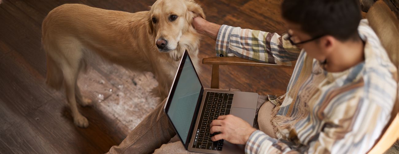 Tenant calmly writing a reasonable-accommodation response on a laptop beside their pet