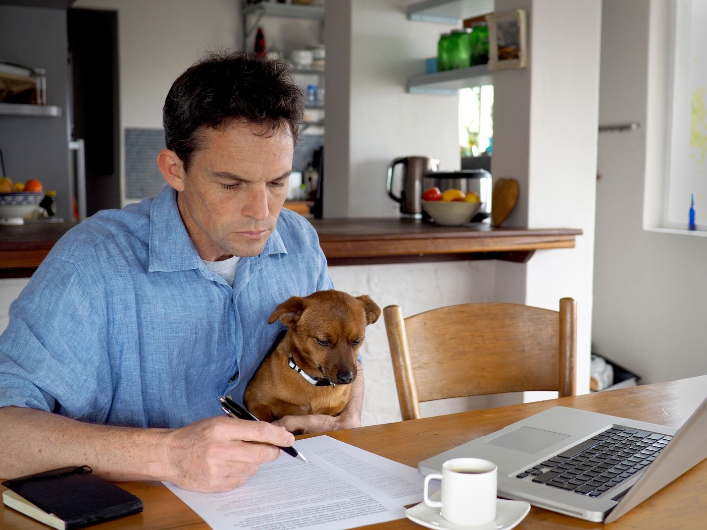 A renter preparing an apartment accommodation request at home with their emotional support dog