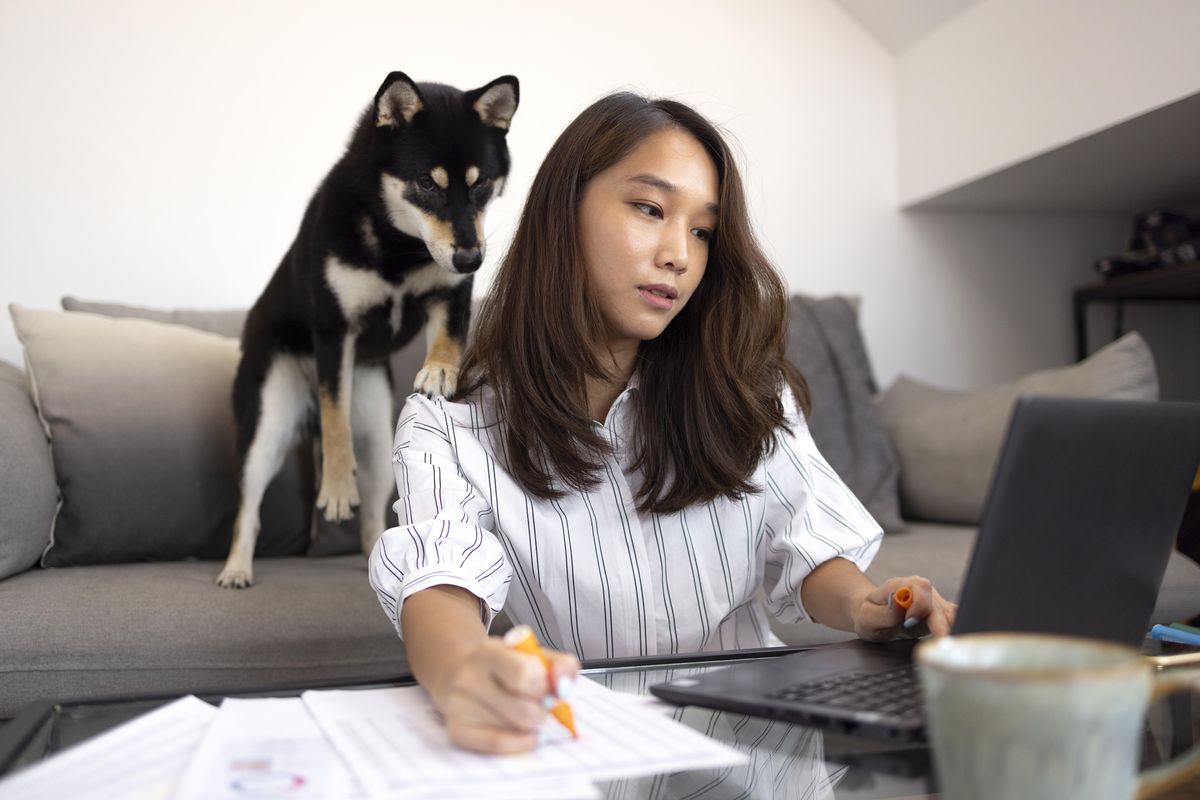 A renter reviewing whether their ESA letter is valid for housing