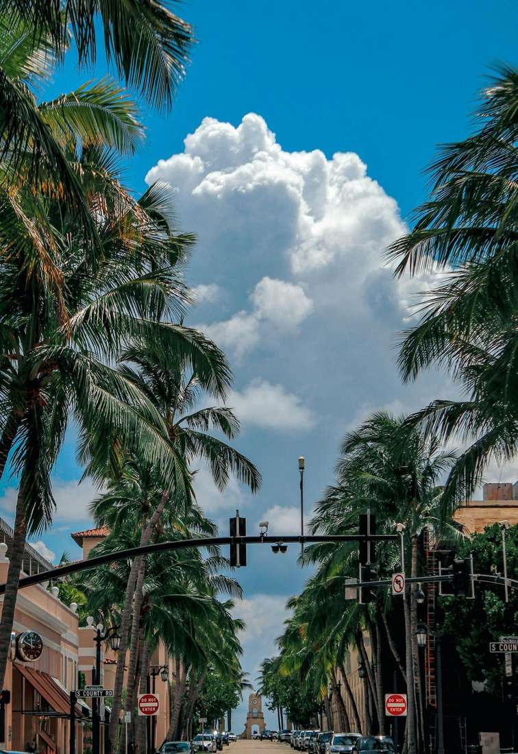 ESA Letter for Florida Renters in 2026: Housing Rights You Need to Know ESA Letter for Florida Renters in 2026: Housing Rights You Need to Know