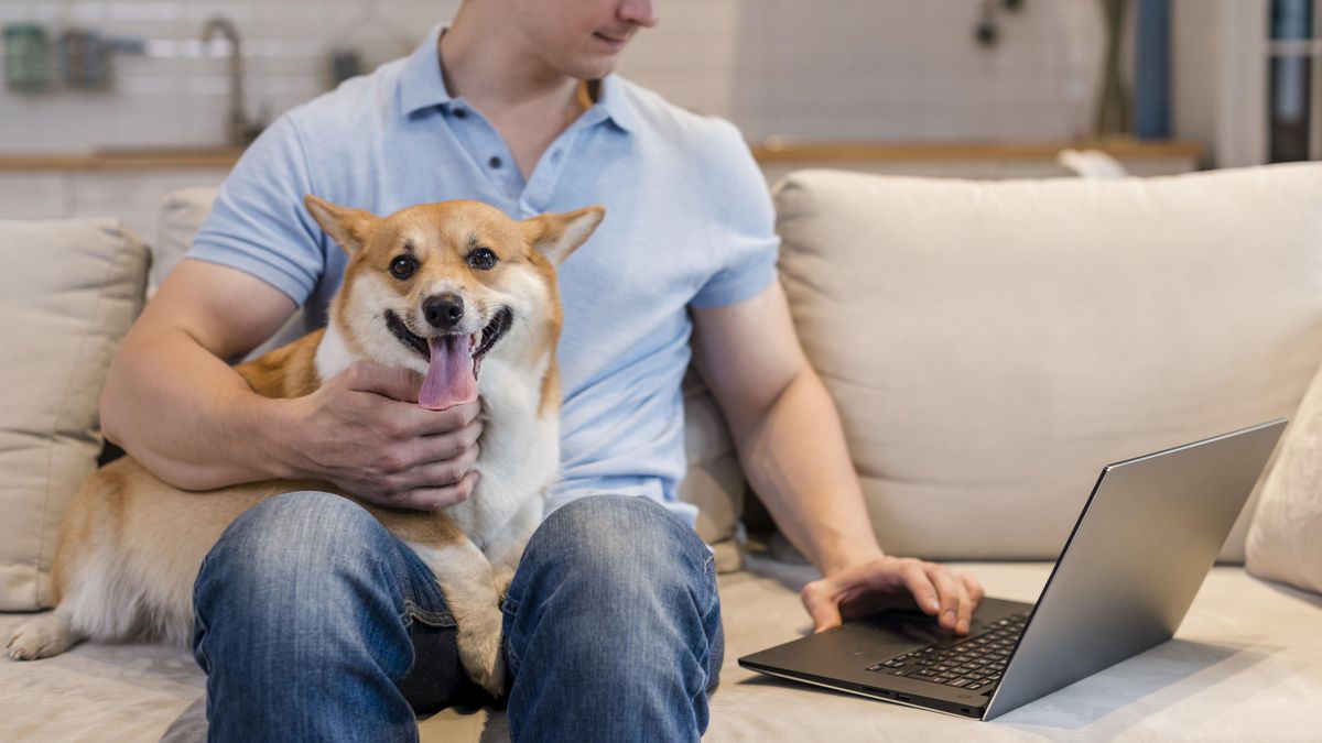 Emotional Support Animal