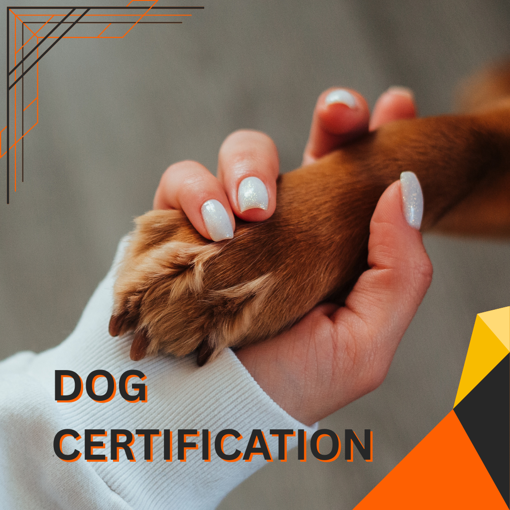 dog certification