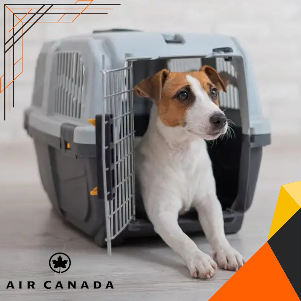 Air Canada’s Emotional Support Animal Policy