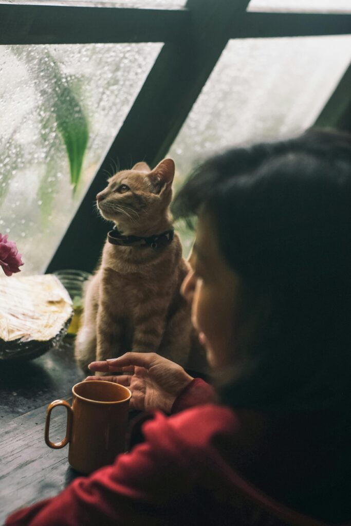 emotional support cat with owner